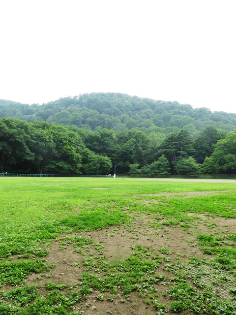 20150730ヤマ03