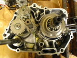P5310030