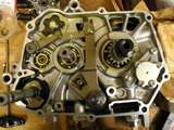 P5310031