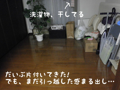BlogPaint