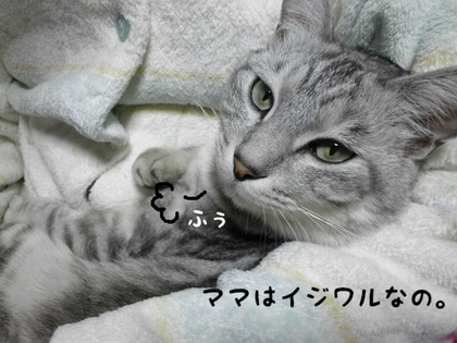 BlogPaint