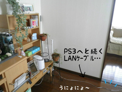 BlogPaint