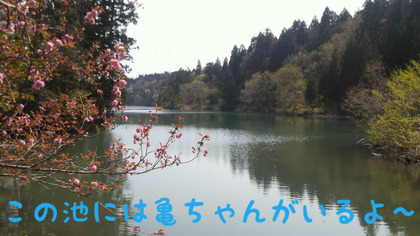 BlogPaint