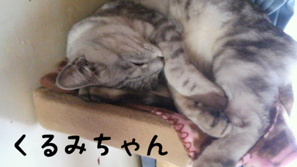 BlogPaint