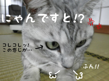 BlogPaint