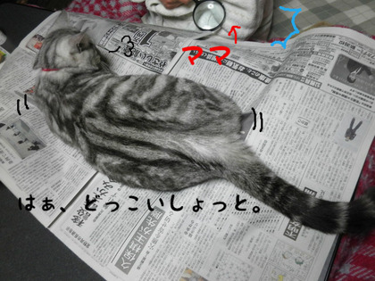 BlogPaint