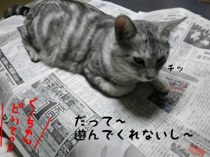 BlogPaint