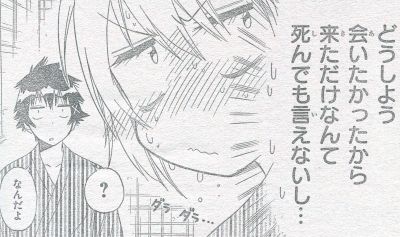 ニセコイ152_01