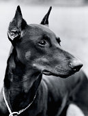 01e65213.jpg