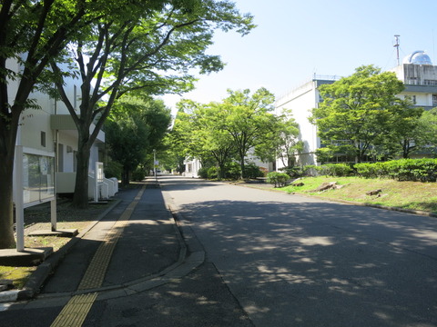 0aa00a39.jpg