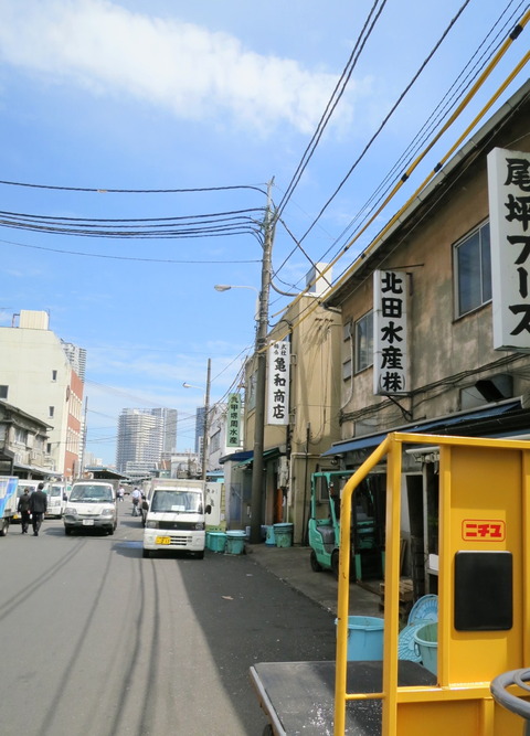 0c823243.jpg