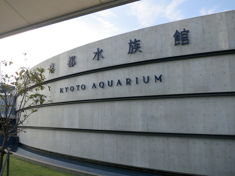 3ca782b0.jpg