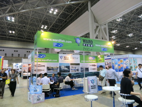 446e3f81.jpg