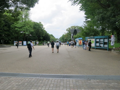 77d48370.jpg
