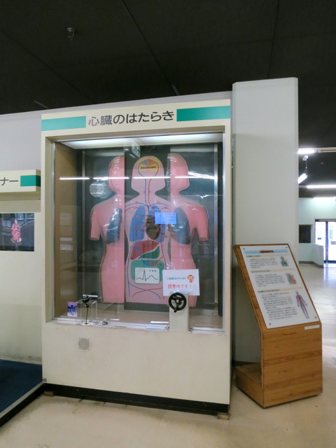 a197b26c.jpg
