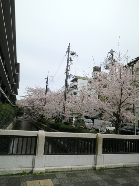 ae190509.jpg