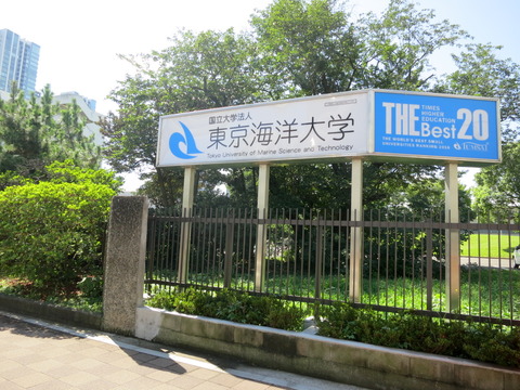 b0d1297b.jpg