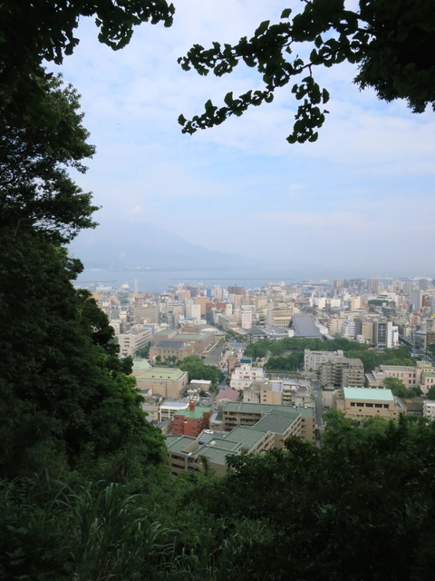 b6de37f5.jpg