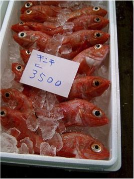 suzuki-san15fishL