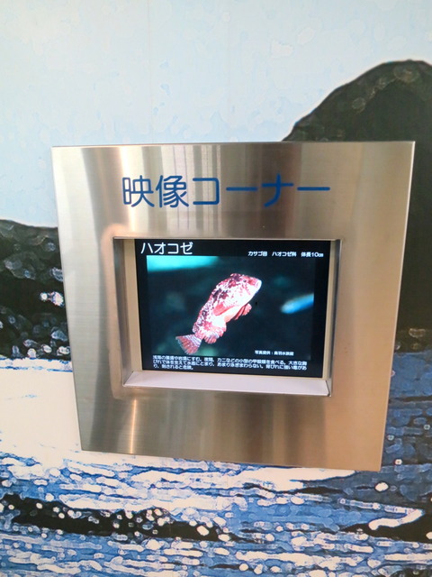 c8b333a7.jpg