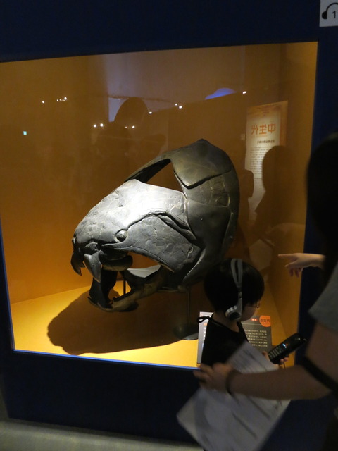 cca4b008.jpg