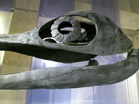ea46863e.jpg