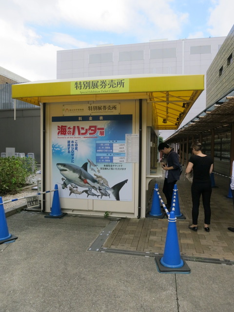fe20cd36.jpg