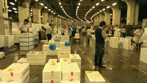 IMAG6895