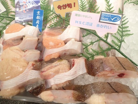P2250323