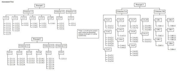 KDSFF-tree-1