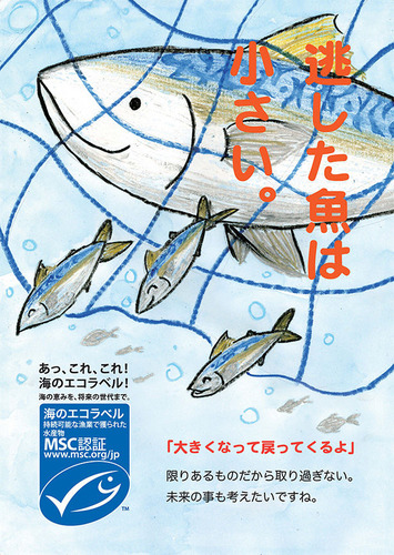 濱野瑞帆ポスター