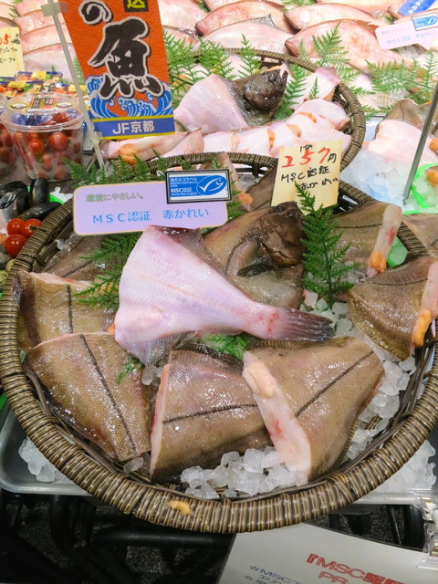 スタンバイ4