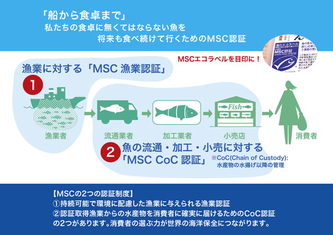 MSCミニリーフレット認証のしくみ