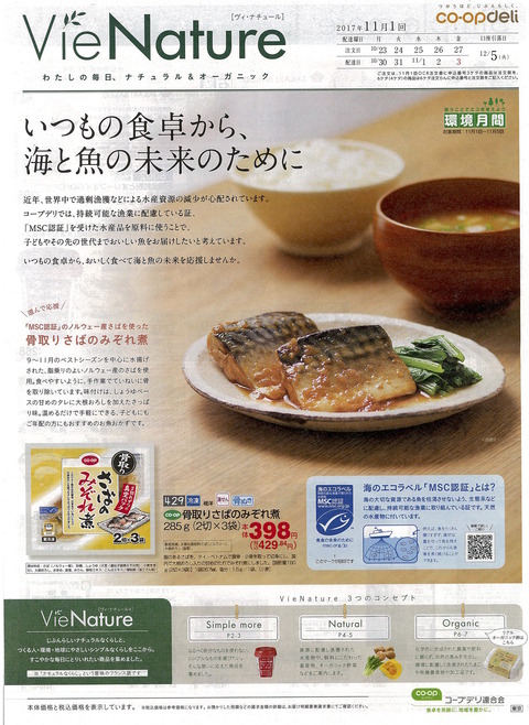チラシ171201