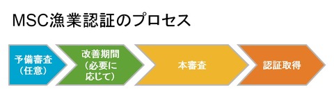 MSC漁業認証のプロセス-2