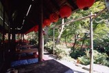 sanzoku (14)