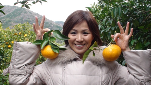 伊東6