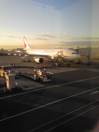 日本航空 チーフ