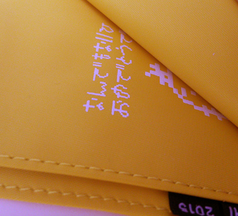pic0011