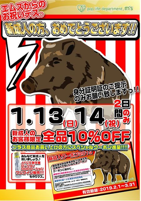 成人2013ol