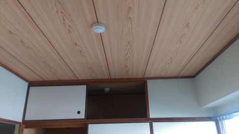 IMAG0305