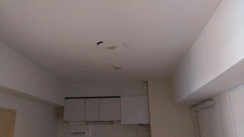 IMAG0248