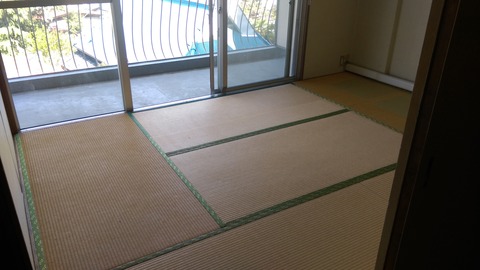 IMAG0255