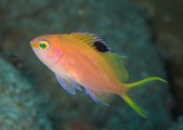 IMG_0561