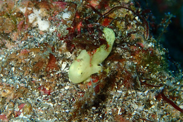 P1060026