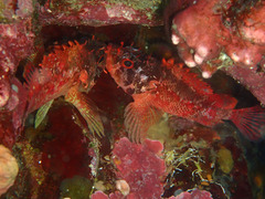 P6043525