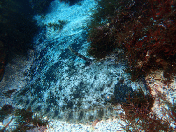 P3185571