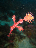 IMG_0021 (2)