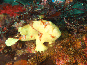 P3260672