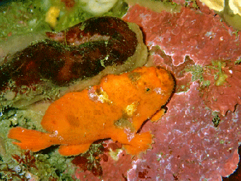 P3185557